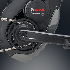 Bulls Skid Platte für Bosch Mittelmotor