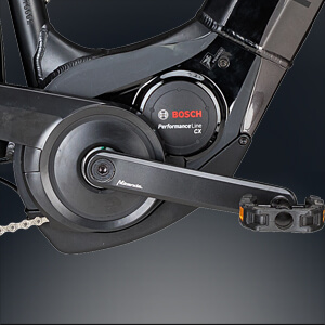 Bosch Motorschutz in Schwarz am Pedelec