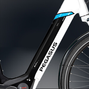 Pegasus E-Bike mit Bosch intube Akku
