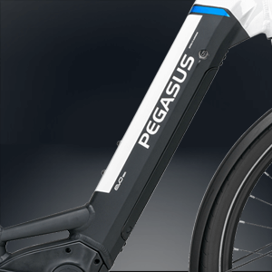 Premio E10 Intube Akku
