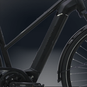 Shimano 750 Wh Akku