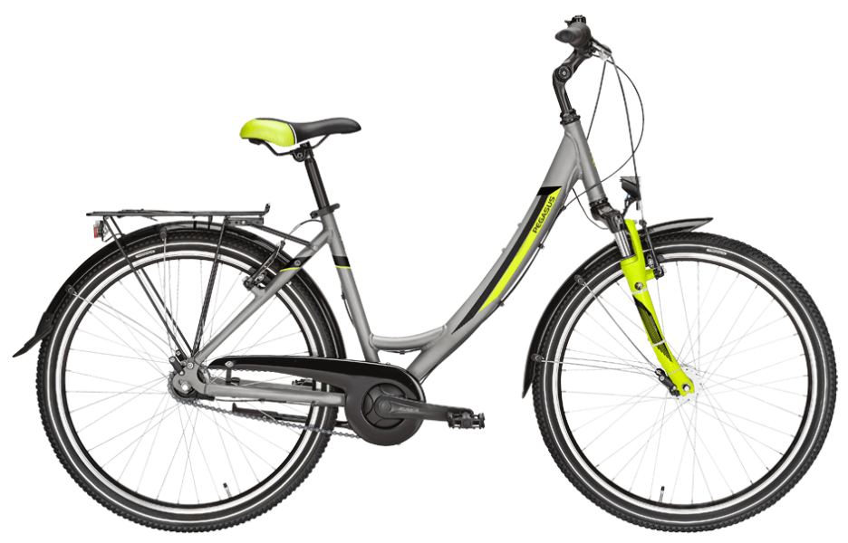 Pegasus Avanti Wave Grau Pegasus Avanti mit Federgabel und Shimano Nabenschaltung