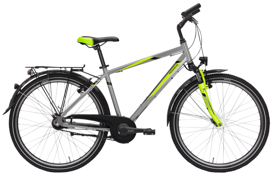 Pegasusu Avanti He GraU Pegasus Avanti mit Shimano Nabenschaltung und Federgabel