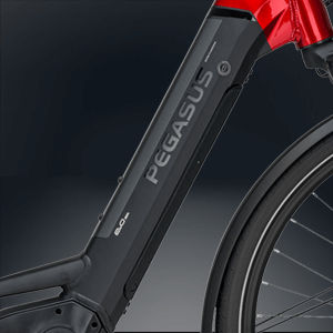 Bosch Intube Akku im Pegasus Premio E10 EVO