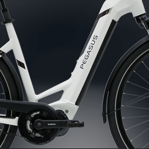Shimano Intube Rahmenakku