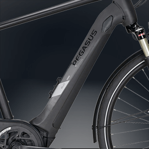 Pegasus Enovo Intube Akku Bosch mit bis zu 625Wh