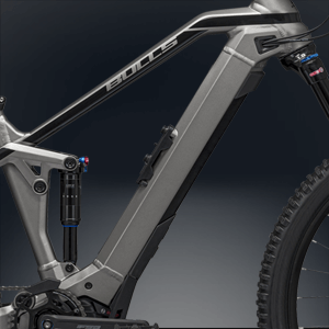 Bosch Performance CX Intube Akku