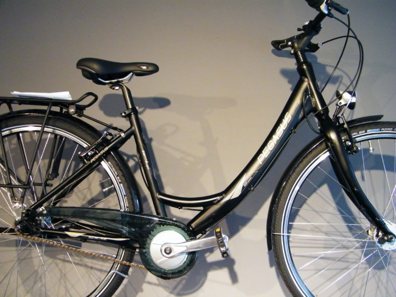 Das federleichte Pegasus Fahrrad! Fahrrad & EBike
