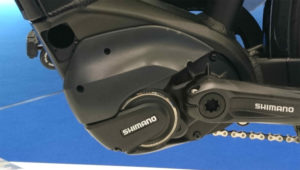 Pegasus Opero EVO 10 Shimano Steps Mittelmotor